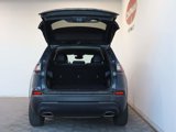 Used 2021 Jeep Cherokee Latitude Lux w/ Comfort/Convenience Group image 5