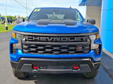 Used 2022 Chevrolet Silverado 1500 Custom Trail Boss image 2