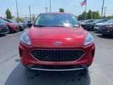 Certified 2022 Ford Escape SE image 2
