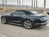 Used 2015 Ford Mustang Convertible w/ Equipment Group 051A image 3