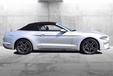 Used 2019 Ford Mustang Premium image 5