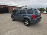 Used 2012 Ford Escape XLT image 6