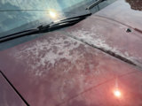 Used 2009 Honda Pilot EX-L image 6