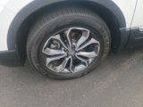 Used 2020 Honda CR-V EX-L image 4
