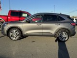 Used 2022 Ford Escape SEL image 3
