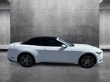 Used 2017 Ford Mustang Premium image 4