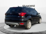 Used 2019 Ford Escape SEL image 5