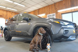 Used 2024 Subaru Crosstrek 2.5i Wilderness image 2