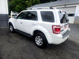 Used 2010 Ford Escape Limited image 4