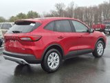 New 2025 Ford Escape Active w/ Cold Weather Package image 6