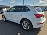 Used 2014 Audi Q5 2.0T Premium Plus image 2