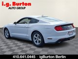 Used 2020 Ford Mustang Coupe image 4