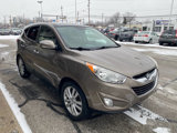 Used 2010 Hyundai Tucson Limited w/ Premium Pkg 4 image 4