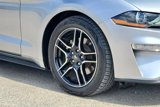 Used 2023 Ford Mustang Premium image 4