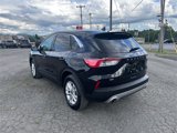 Used 2022 Ford Escape SE w/ Convenience Package image 3