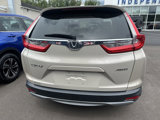 Used 2019 Honda CR-V EX image 3
