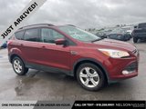 Used 2016 Ford Escape SE w/ SE Leather Comfort Package image 3