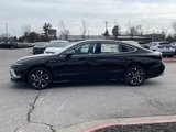 New 2024 Hyundai Sonata SEL image 4