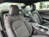 New 2024 Ford Mustang Coupe image 6