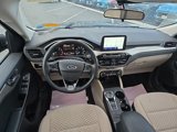 Used 2021 Ford Escape SE w/ Cold Weather Package image 4