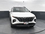 Used 2023 Hyundai Tucson Limited image 2