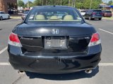 Used 2010 Honda Accord EX-L image 4
