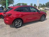 New 2024 Ford Escape ST-Line w/ Equipment Group 301A image 3