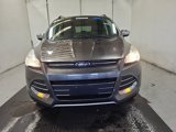 Used 2016 Ford Escape SE w/ SE Chrome Package image 5