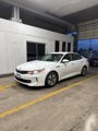 Used 2017 Kia Optima Premium w/ Hybrid Convenience Package image 2