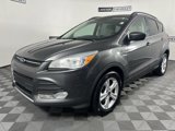 Used 2016 Ford Escape SE w/ Leather Comfort Package image 2