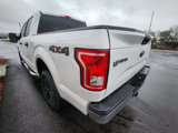 Used 2017 Ford F150 XLT image 5