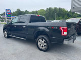 Used 2015 Ford F150 XLT w/ Equipment Group 301A Mid image 6