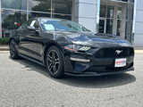 Used 2020 Ford Mustang Coupe w/ Equipment Group 101A image 3