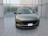 Used 2022 Ford Escape SE w/ Convenience Package image 3