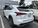 Used 2020 Lexus NX 300h AWD w/ Premium Package image 6