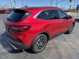 New 2025 Ford Escape SE image 5