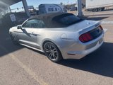 Used 2016 Ford Mustang Premium image 6