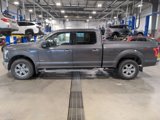 Used 2017 Ford F150 XLT w/ Equipment Group 302A Luxury image 4
