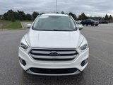 Used 2017 Ford Escape SE w/ Equipment Group 201A image 2