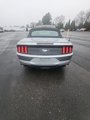 Used 2022 Ford Mustang Premium image 5