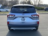 Used 2022 Ford Escape SE w/ Convenience Package image 4