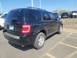 Used 2010 Ford Escape XLT image 3