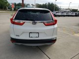 Used 2019 Honda CR-V EX image 4