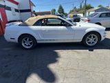 Used 2005 Ford Mustang Premium image 6