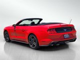 Used 2021 Ford Mustang Premium image 6