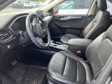 Used 2020 Ford Escape SEL image 5