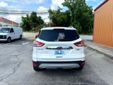 Used 2014 Ford Escape Titanium image 6