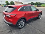 Certified 2020 Ford Escape SEL image 5