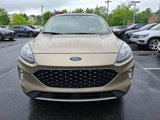 Used 2020 Ford Escape Titanium image 2