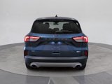 Used 2020 Ford Escape SE image 5